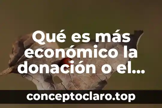 Que es el antiguo testamento para niños 4 Qué es más económico la donación o el testamento
