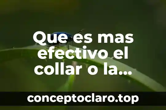 Que es mas efectivo el collar o la pipeta
