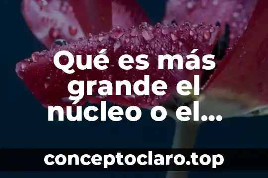 Lo grande que es perdonar significado 5 Qué es más grande el núcleo o el átomo