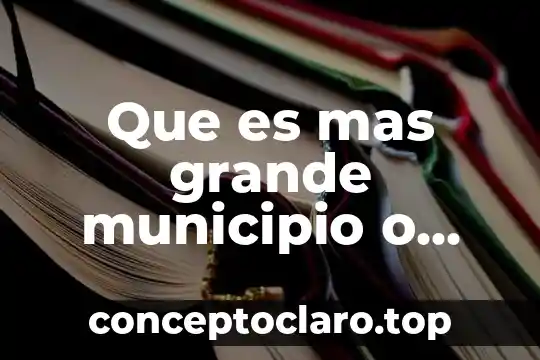 Que es mas grande municipio o localidad