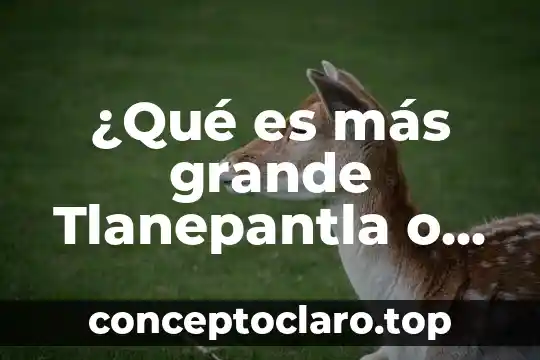 Lo grande que es perdonar significado 6 ¿Qué es más grande Tlanepantla o Naucalpan?