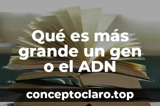 Qué es más grande un gen o el ADN
