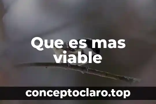 Vulgar que es en etimología 3 Que es mas viable