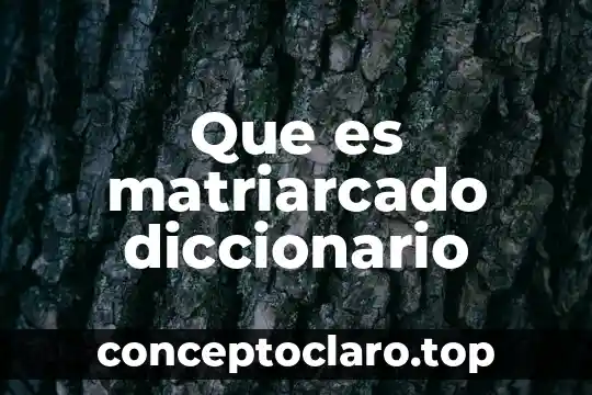 Que es el rascacielos diccionario 3 Que es matriarcado diccionario