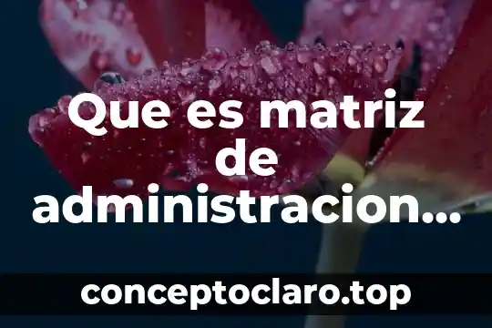 Que es matriz de administracion de tiempos