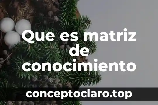 Que es matriz de conocimiento
