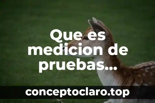 Vasco que es 5 Que es medicion de pruebas cuantitativas y cualitativas