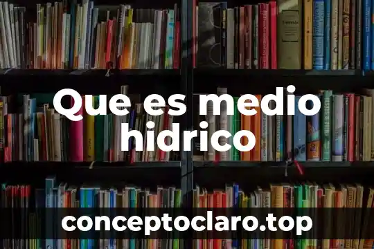 Que es medio hidrico