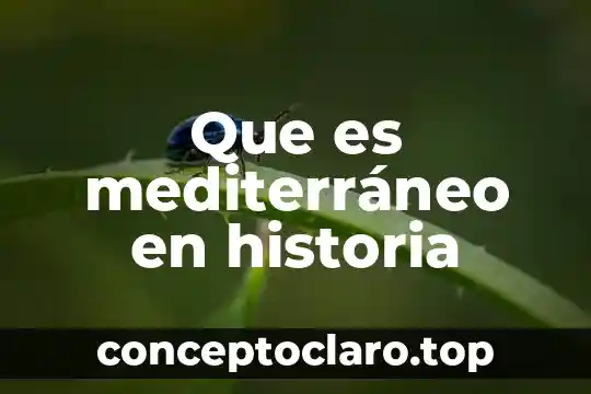 Que es mediterráneo en historia