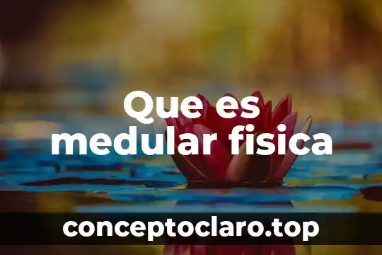 Que es exprecion en educacion fisica 8 Que es medular fisica