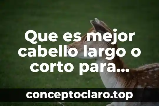 Qué es deudas a largo plazo en contabilidad 4 Que es mejor cabello largo o corto para mujeres