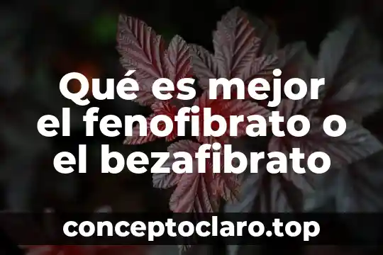 ¿Qué es mejor Inkscape o Illustrator? 3 Qué es mejor el fenofibrato o el bezafibrato