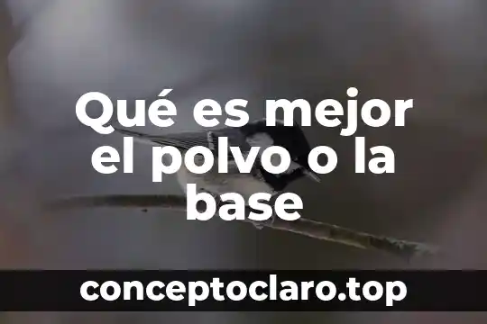 Qué es mejor el polvo o la base