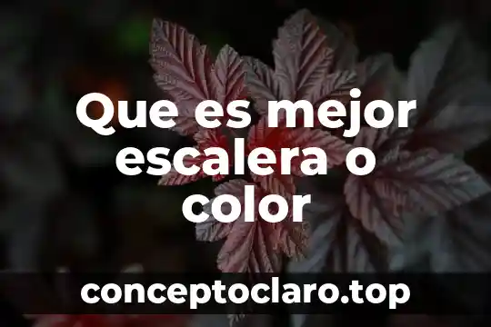 Que es mejor la grasa animal o vegetal 3 Que es mejor escalera o color