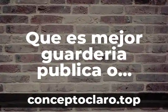 Que es contabilidad publica y privada 3 Que es mejor guarderia publica o privada