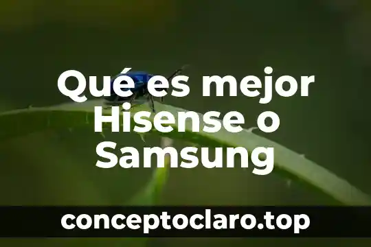 Que es la respetar la libertad cultural 4 Qué es mejor Hisense o Samsung