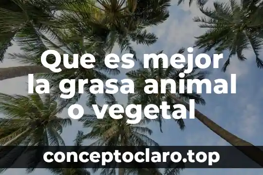 Que es mejor escalera o color 5 Que es mejor la grasa animal o vegetal