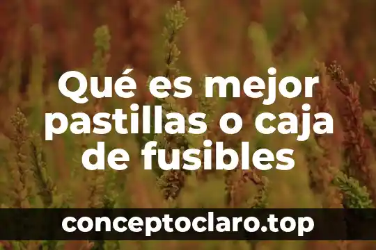 Qué es mejor pastillas o caja de fusibles