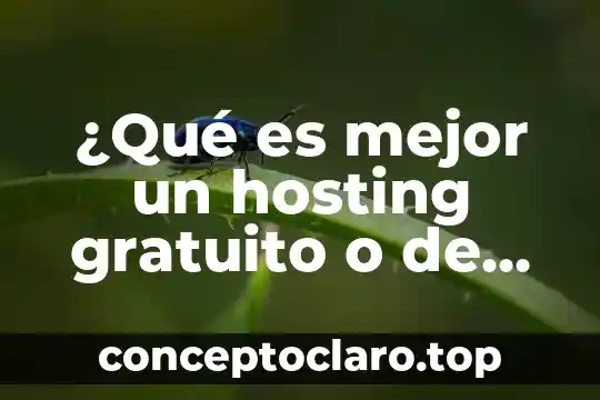 ¿Qué es mejor un hosting gratuito o de paga?