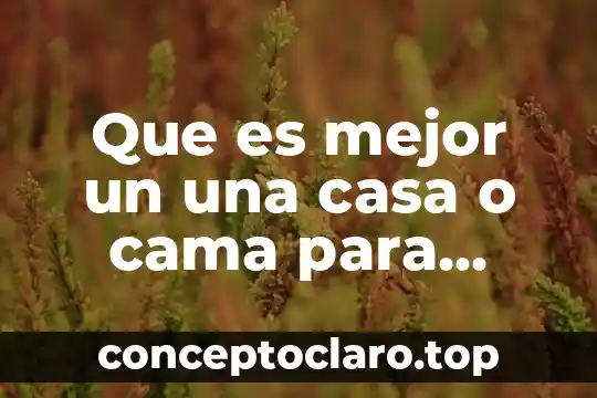 Que es mejor un una casa o cama para perros