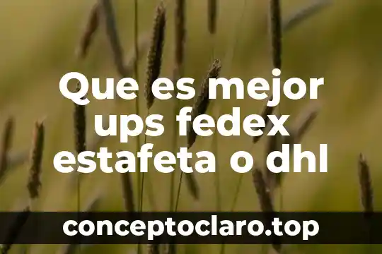 Que es mejor ups fedex estafeta o dhl