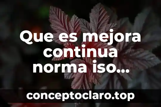 Que es mejora continua norma iso 14001