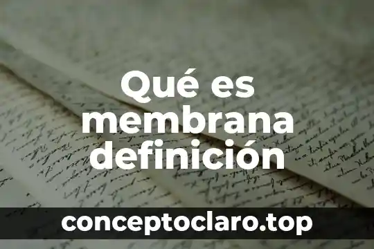 Qué es membrana definición