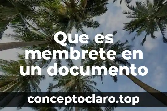 Qué es el número de documento único de identidad 3 Que es membrete en un documento