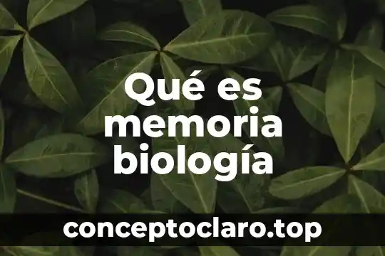 Que es la biologia y la bio masa 8 Qué es memoria biología