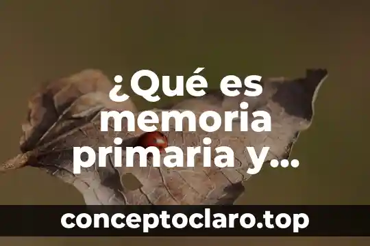Que es infertilidad primaria y secundaria 7 ¿Qué es memoria primaria y secundaria?