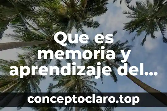 Datos o memoria de cache en celular 5 Que es memoria y aprendizaje del ser humano