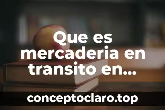 Que es mercaderia en transito en contabilidad
