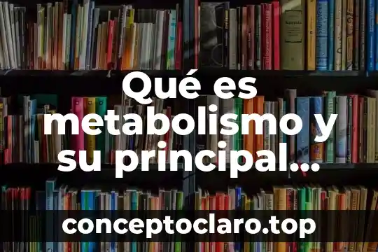 Que es el punto fijo metabolico 7 Qué es metabolismo y su principal sistema metabólico