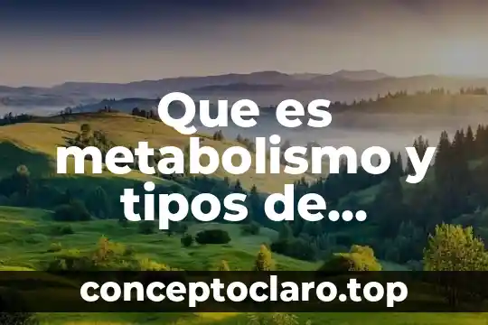 Que es nutriente tipos 4 Que es metabolismo y tipos de metabolismo
