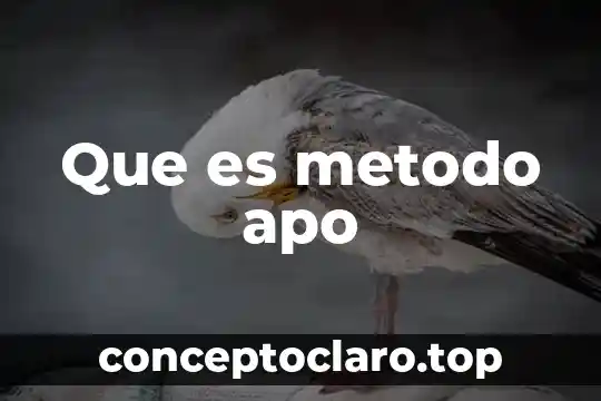 Que es el metodo sexagonal 5 Que es metodo apo