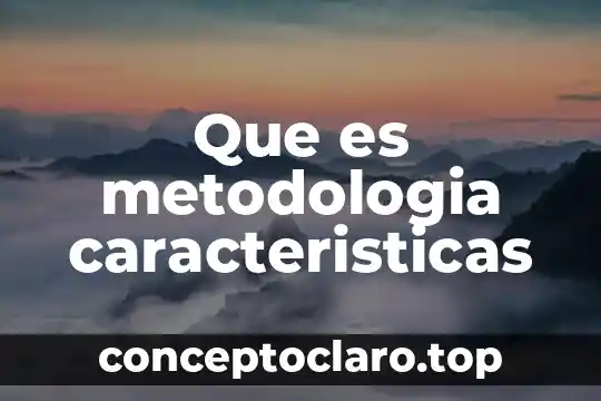 Que es metodologia caracteristicas