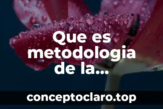 Que es metodologia de la investigacion tesis