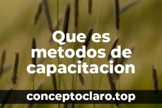 Que es capacitacion segun jaime grados 8 Que es metodos de capacitacion