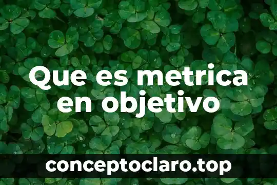 Que es metrica en objetivo