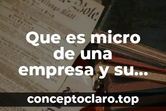 Que es identificar el mercado de una empresa 6 Que es micro de una empresa y su clasificacion ejemplos