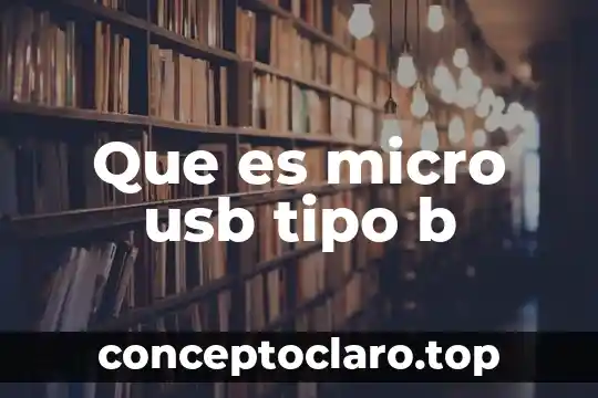 Que es micro usb tipo b