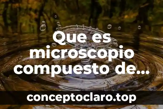 Que es el sistema mecanico del microscopio compuesto 4 Que es microscopio compuesto de campo claro