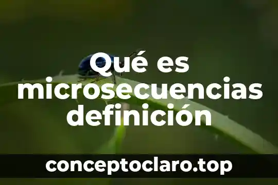 Qué es microsecuencias definición