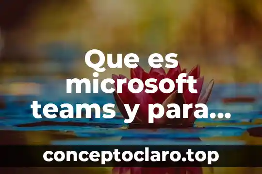 Que es la exprecion corporal y para que sirve 3 Que es microsoft teams y para que sirve