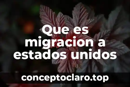Que es migracion a estados unidos