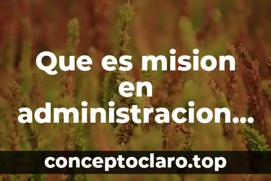 Que es mision en administracion y como se usa