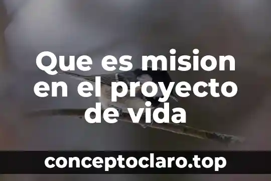 Que es mision en el proyecto de vida