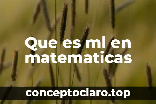 Que es ml en matematicas