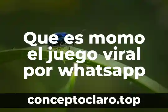 Que es momo el juego viral por whatsapp