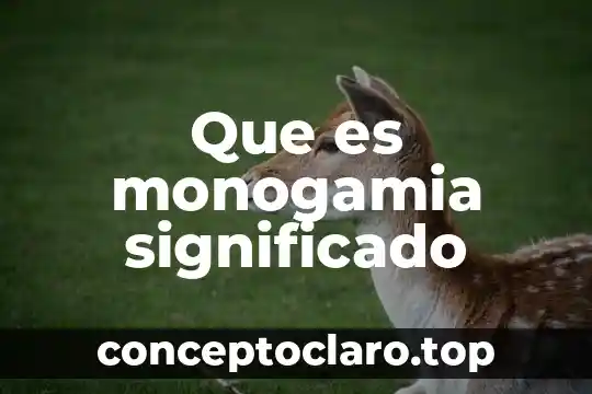 Que es monogamia significado